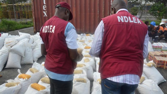 Edo: NDLEA arrests 463 drug dealers, convicts 42 - Vimarsana News