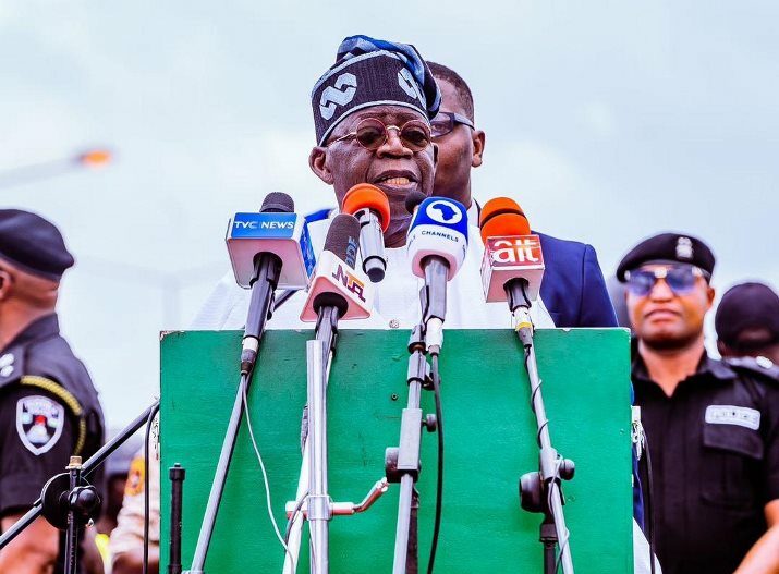 Nigerians in Diaspora assured of inclusiveness in Tinubu's govt - Vimarsana News