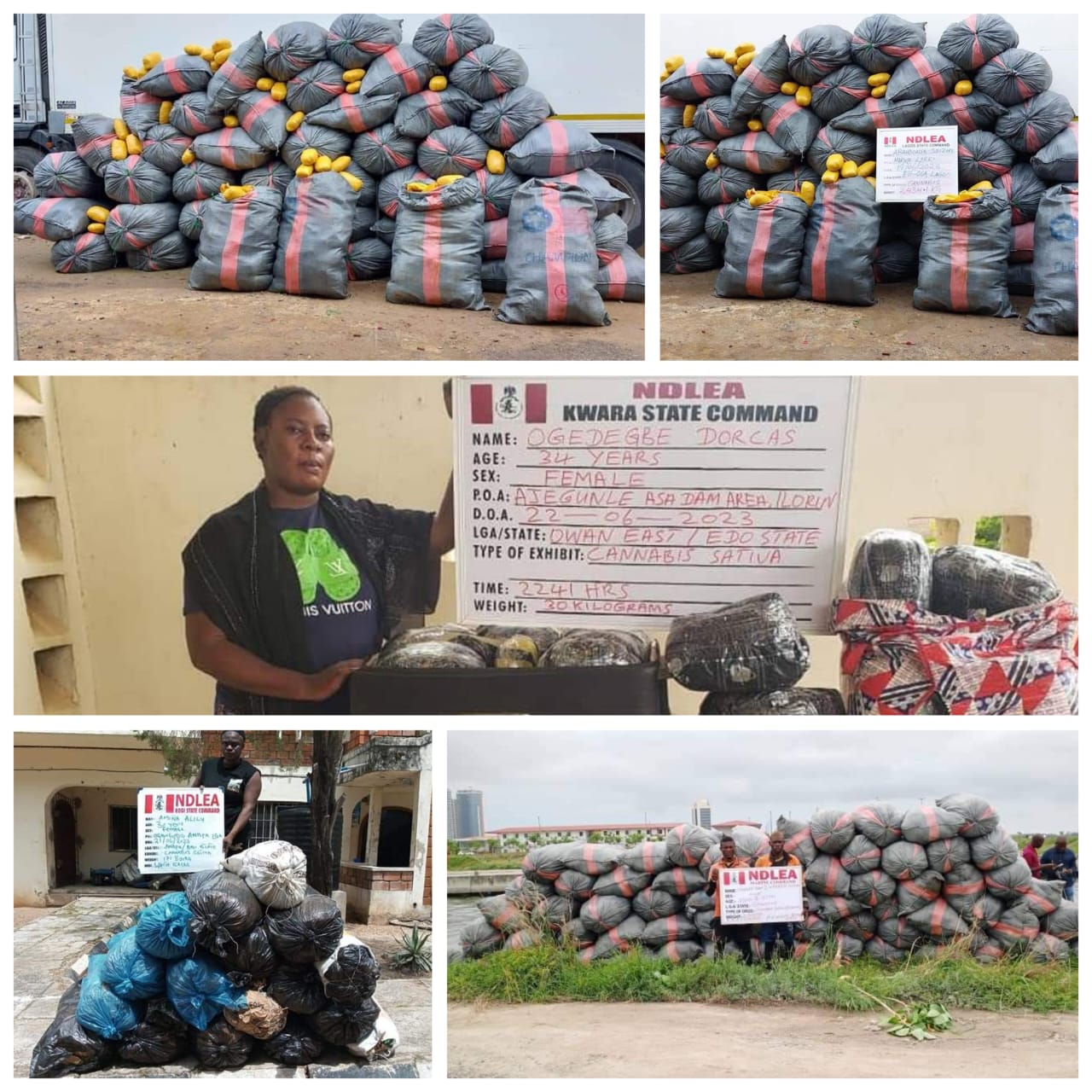 NDLEA intercepts massive skunk consignments in Lekki, nabs 2 Ghanaians - Vimarsana News