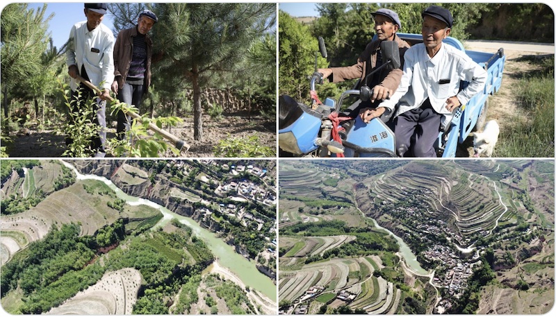How twin brothers turn rocky, barren mountain into lush forest - Vimarsana News