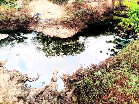Residents cry out as oil spill hits several villages in Rivers - Vimarsana News